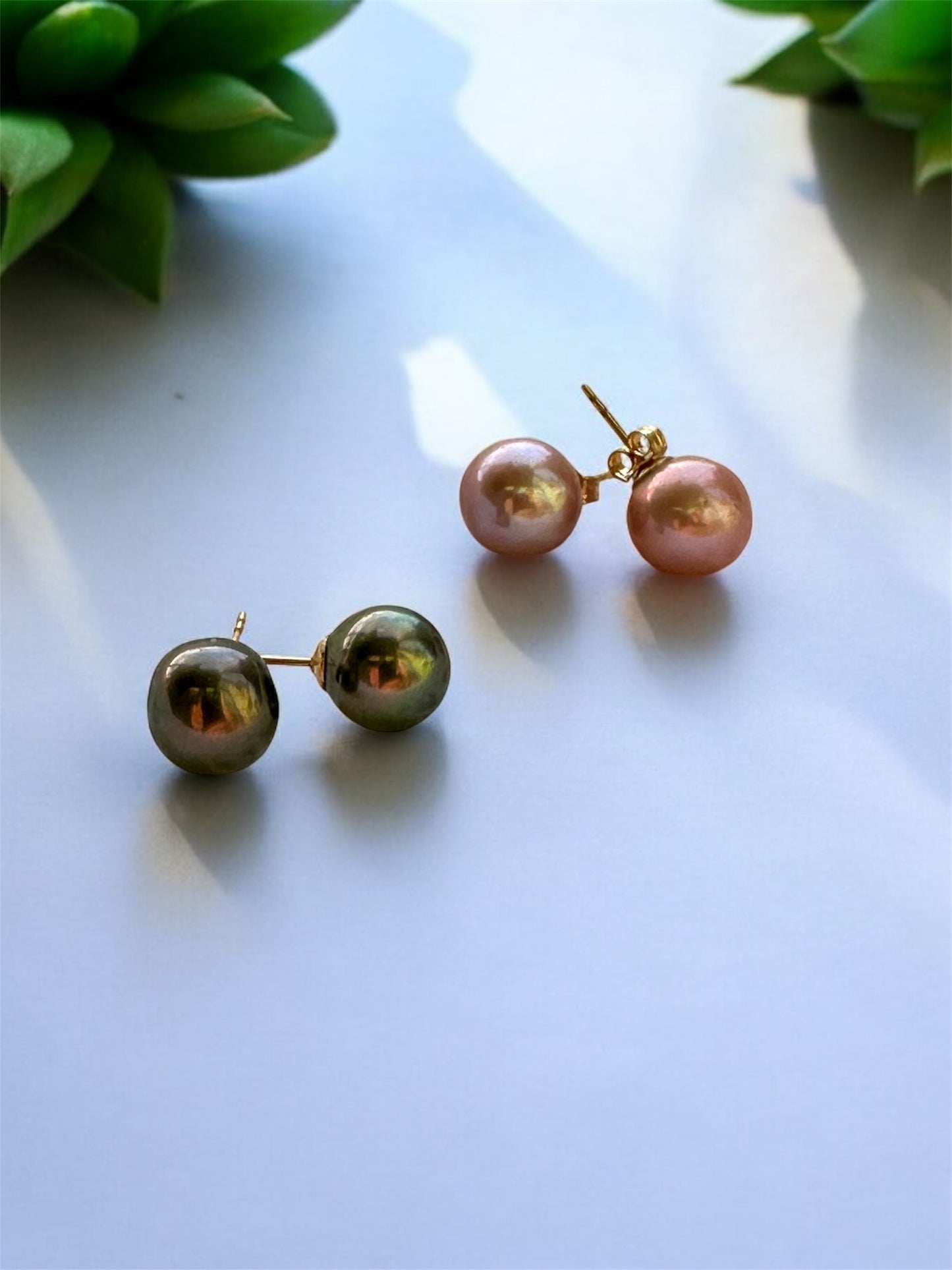 Pearl Studs
